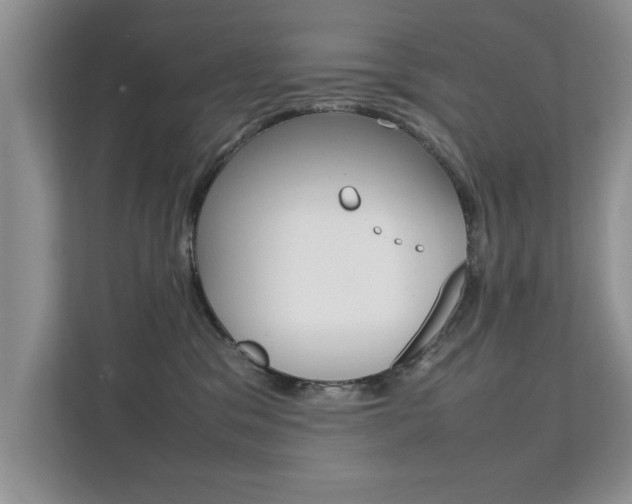 X0000112210329200908071308