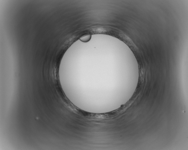 X0000112210330200908071308