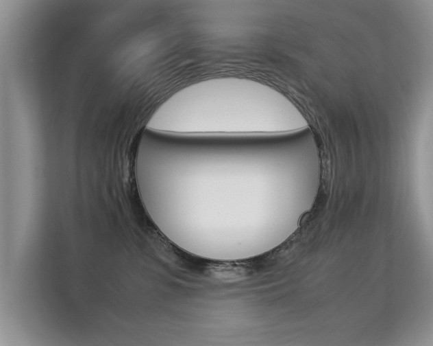 X0000112210331200908071308