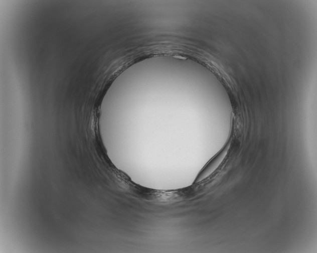 X0000112210333200908071308