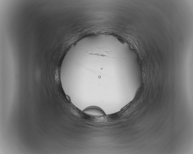X0000112210335200908071308