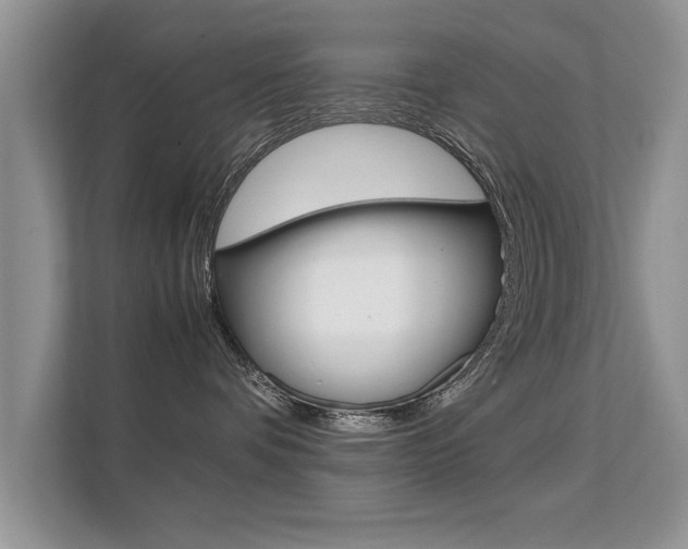 X0000112210336200908071308