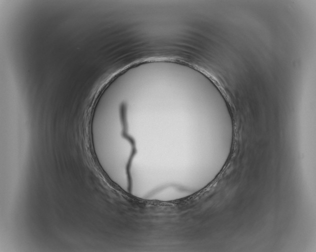 X0000112210337200908071307