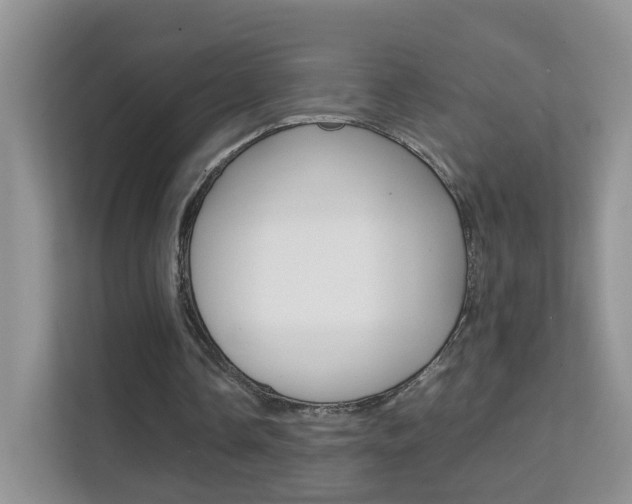X0000112210338200908071307