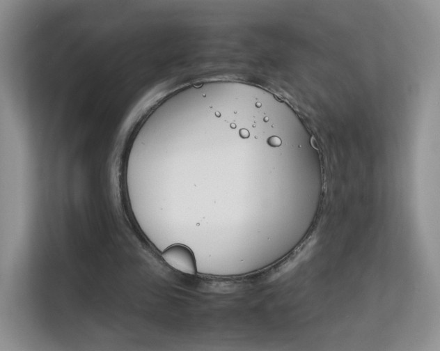X0000112210341200908071307