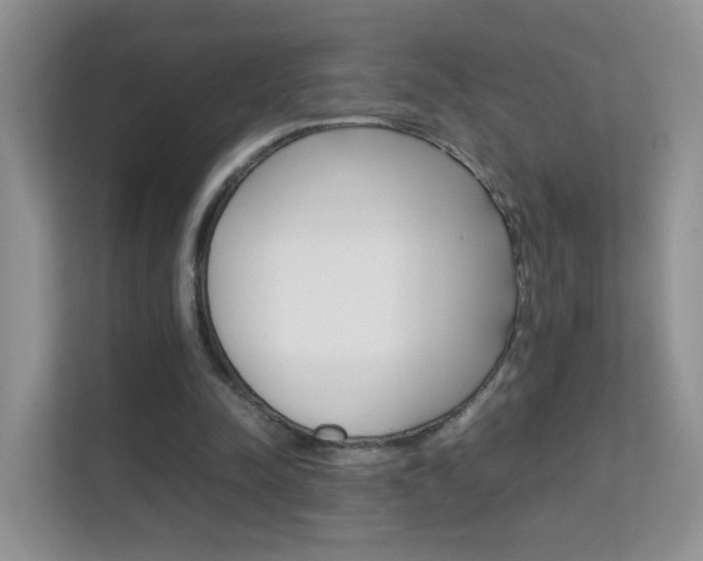 X0000112210342200908071307