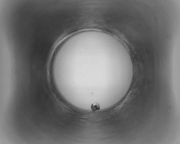 X0000112210344200908071307