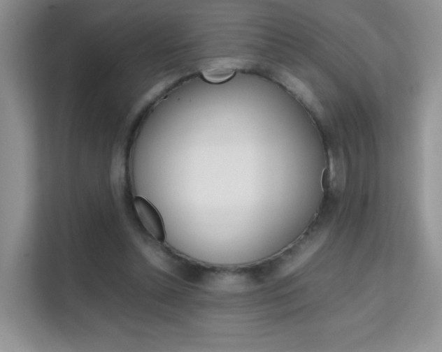 X0000112210348200908071307