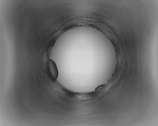 X0000112210372200908071308