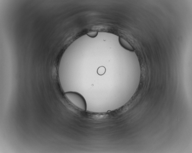 X0000112210375200908071308