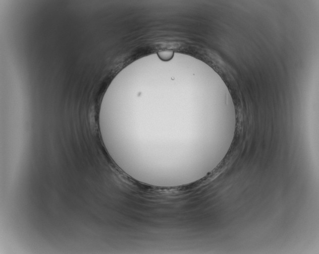 X0000112210377200908071308