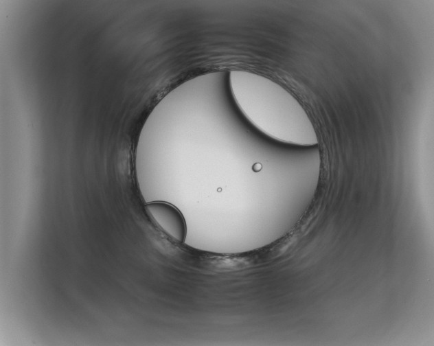 X0000112210379200908071308