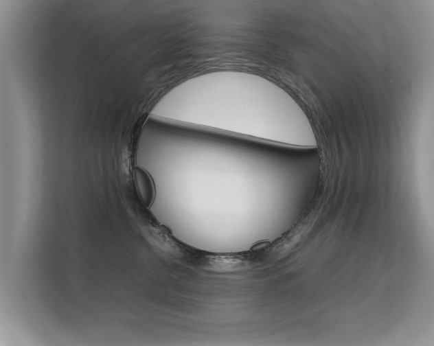X0000112210380200908071308