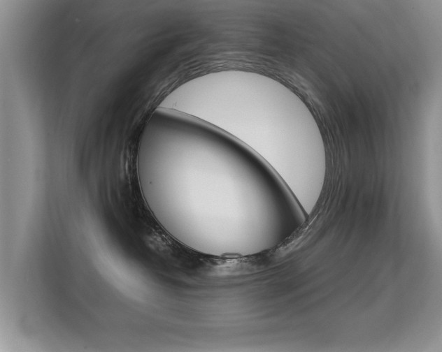 X0000112210382200908071308