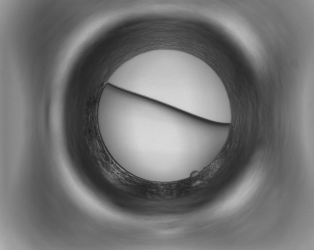 X0000112210383200908071308