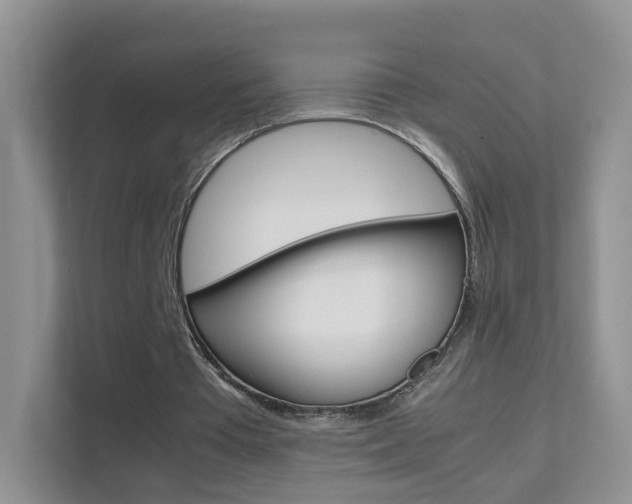X0000112210385200908071307