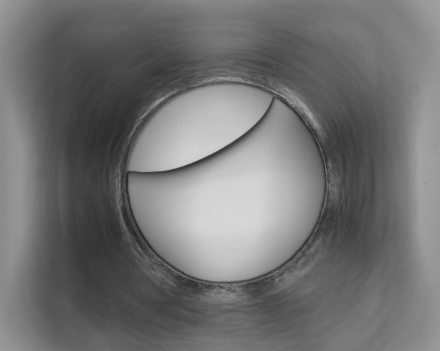 X0000112210386200908071307