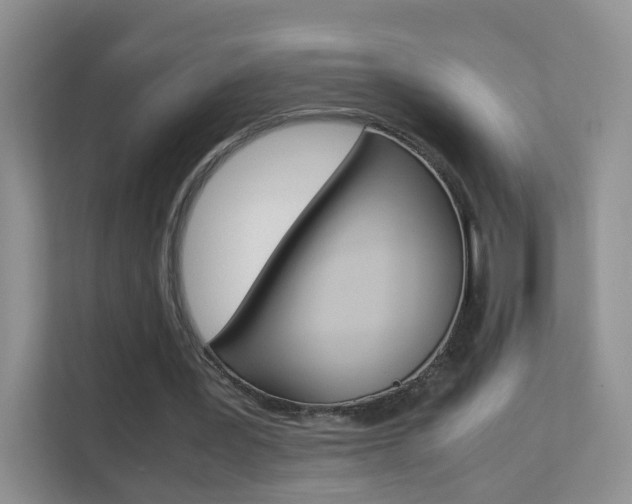 X0000112210387200908071307