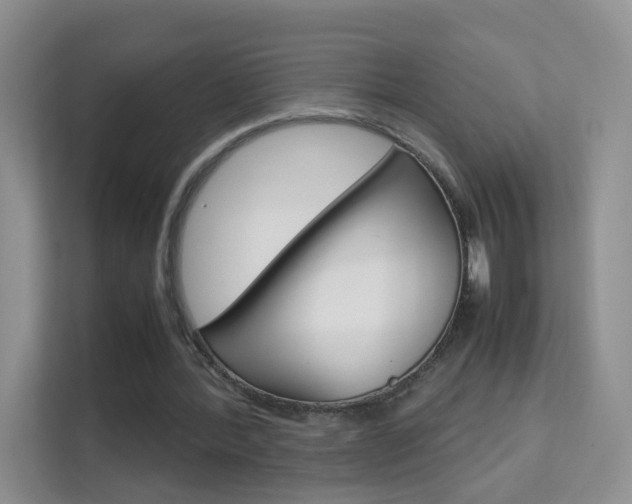 X0000112210388200908071307