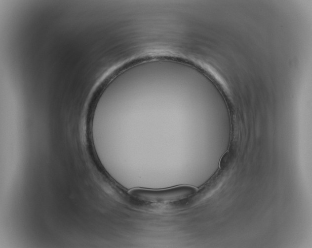 X0000112210391200908071307
