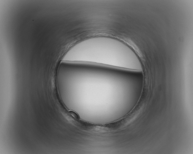 X0000112210393200908071307