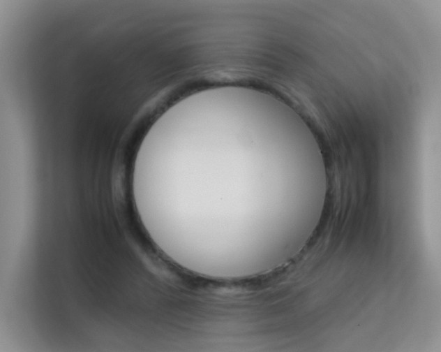 X0000112210400200908071307