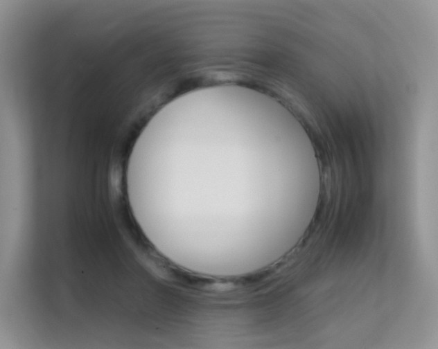 X0000112210406200908071307