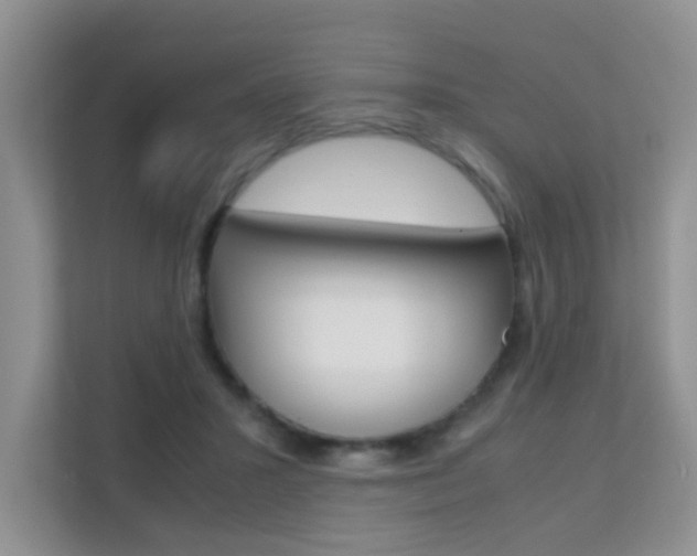 X0000112210407200908071307