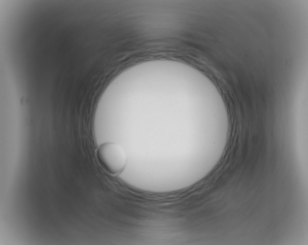 X0000112210417200908071307