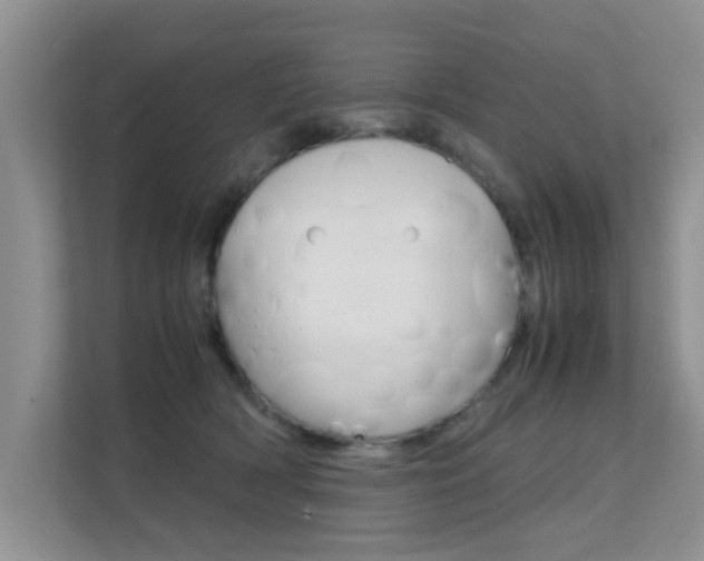X0000112210418200908071307