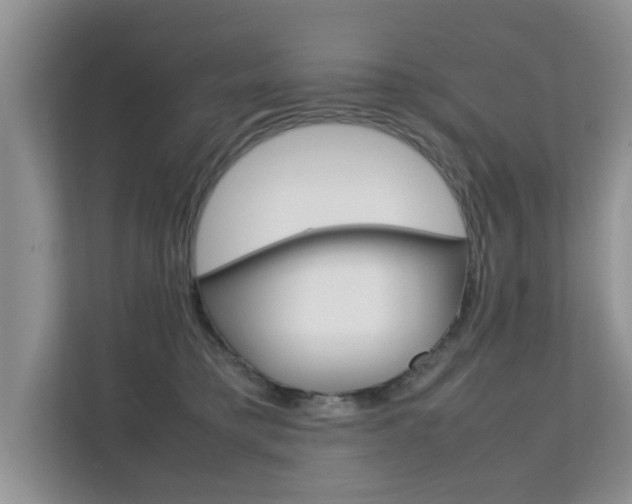 X0000112210421200908071307