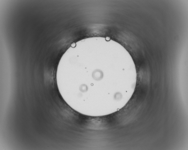 X0000112210423200908071307