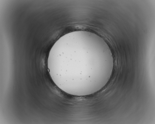 X0000112210424200908071307