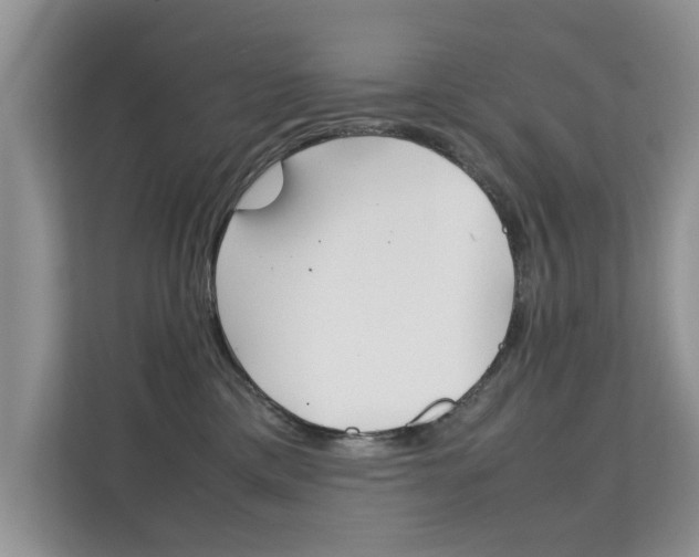 X0000112210425200908071307