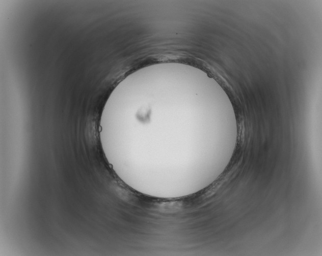 X0000112210426200908071307