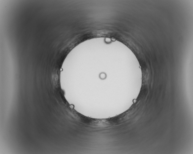 X0000112210427200908071307
