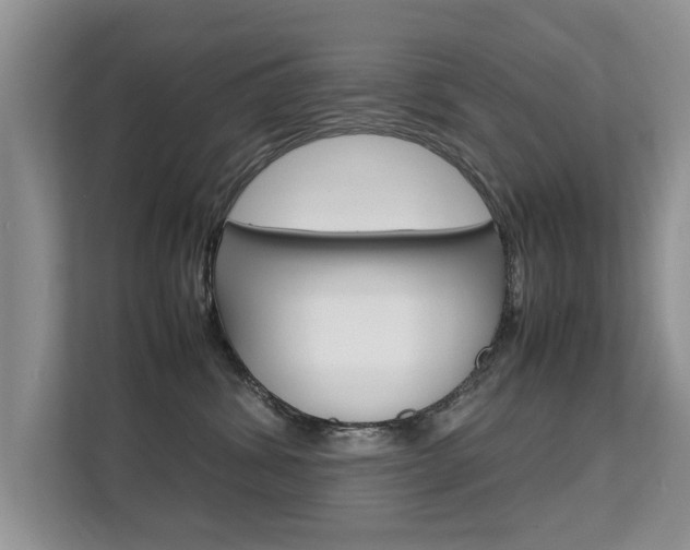 X0000112210428200908071307