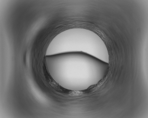 X0000112210429200908071307