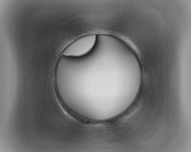 X0000112210433200908071306