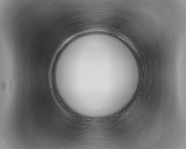 X0000112210436200908071306