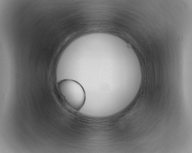X0000112210444200908071306