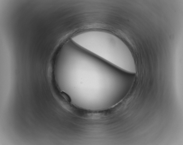 X0000112210448200908071306