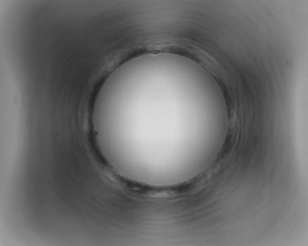 X0000112210452200908071306