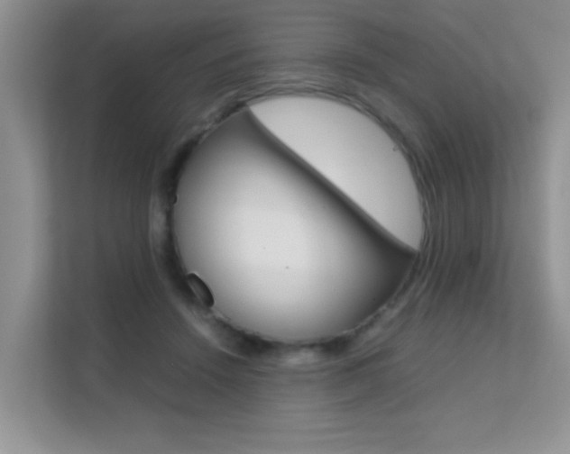 X0000112210456200908071306