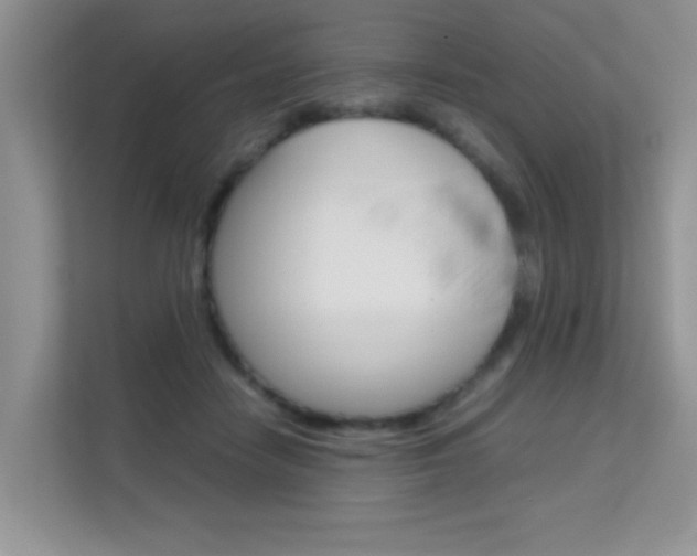 X0000112210458200908071306