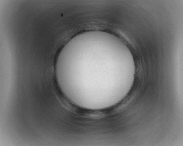 X0000112210459200908071306