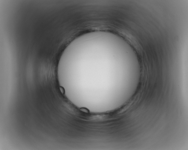 X0000112210461200908071306