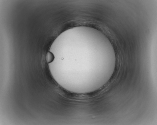 X0000112210463200908071306