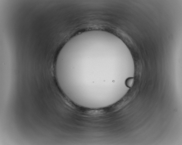 X0000112210465200908071306