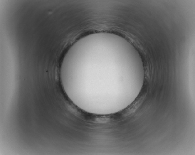 X0000112210470200908071306
